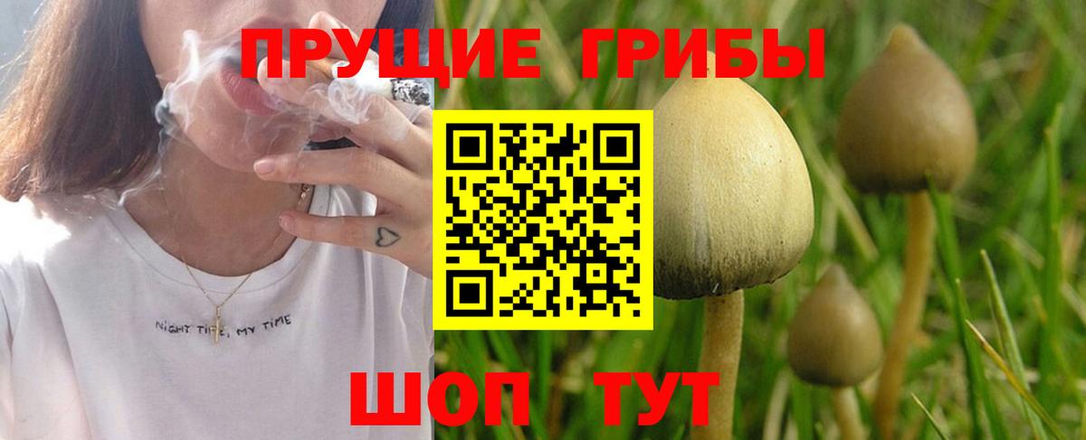 Кириши  Галлюциногенные грибы GOLDEN TEACHER  Вход с VPN 